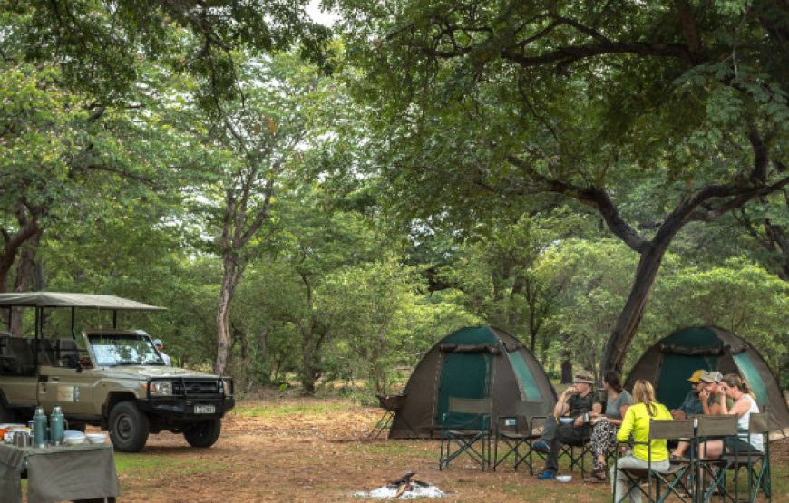 Camping Safari – African Bush Experience