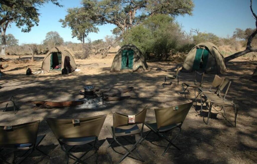 Camping Safari – African Bush Experience